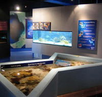Marine and Freshwater Discovery Centre - Lennox Head Accommodation