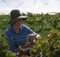 Kingsdale Wines - Lennox Head Accommodation