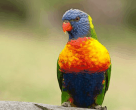 Booderee National Park - Lennox Head Accommodation 1