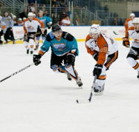 Medibank Icehouse - Lennox Head Accommodation