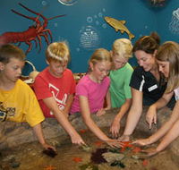 Naturaliste Marine Discovery Centre - Lennox Head Accommodation