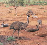 Hammond Park - Lennox Head Accommodation