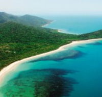 Jungle Tours and Trekking - Lennox Head Accommodation