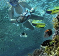 Calypso Reef Charters - Lennox Head Accommodation