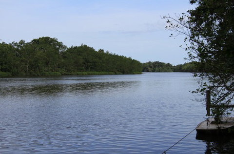 Daintree River Cruise Centre - Lennox Head Accommodation 2