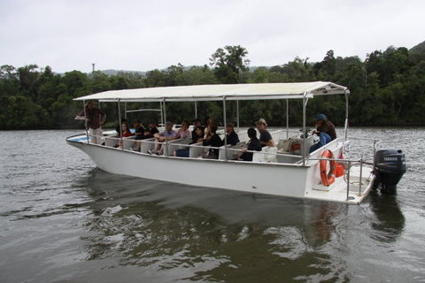 Daintree River Cruise Centre - Lennox Head Accommodation 3