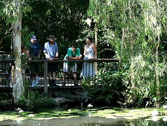 Hartley's Crocodile Adventures - Lennox Head Accommodation 2