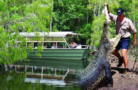 Hartley's Crocodile Adventures - Lennox Head Accommodation 6