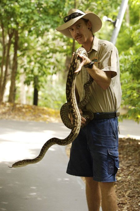 Hartley's Crocodile Adventures - Lennox Head Accommodation 11