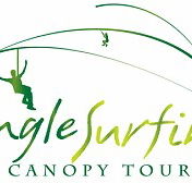 Jungle Surfing Canopy Tours and Jungle Adventures Nightwalks - Lennox Head Accommodation