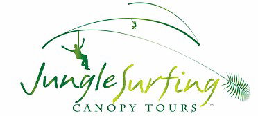 Jungle Surfing Canopy Tours And Jungle Adventures Nightwalks - Lennox Head Accommodation 0