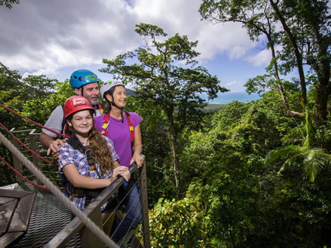 Jungle Surfing Canopy Tours And Jungle Adventures Nightwalks - Lennox Head Accommodation 1