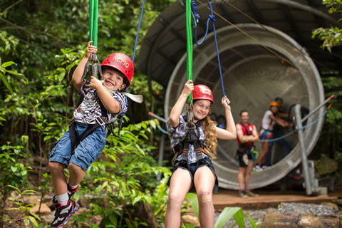 Jungle Surfing Canopy Tours And Jungle Adventures Nightwalks - Lennox Head Accommodation 2
