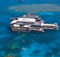 Quicksilver Cruises - Lennox Head Accommodation