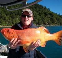 Gone Fishing by Coral Sea Fishing Charters Airlie Beach - Lennox Head Accommodation