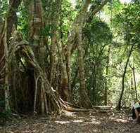 The Airlie Creek Track - Lennox Head Accommodation