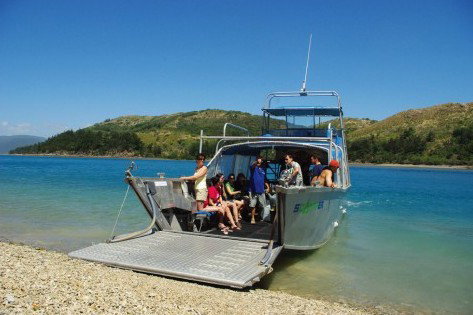 Scamper - Whitsunday Island Camping Connection - Lennox Head Accommodation 0