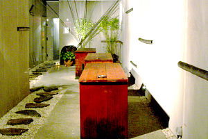 Koi - Lennox Head Accommodation 0