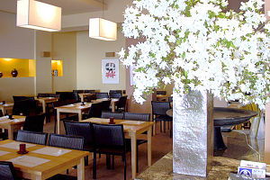 Kuni's - Lennox Head Accommodation 0