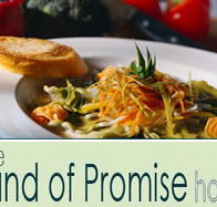 Land of Promise Hotel - Lennox Head Accommodation