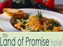 Land Of Promise Hotel - Lennox Head Accommodation 0