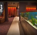 AB Hotel - Lennox Head Accommodation