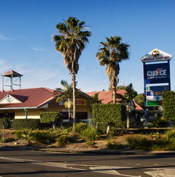 Koala Tavern - Lennox Head Accommodation 0