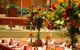 Forest Inn Hotel - thumb 0