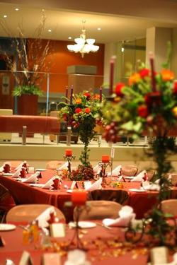 Forest Inn Hotel - Lennox Head Accommodation 0