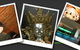 Jade Buddha - thumb 1