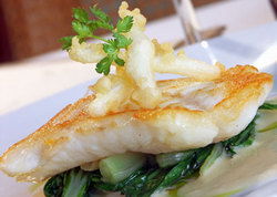 Bell's Hotel & Brewery - Lennox Head Accommodation 1
