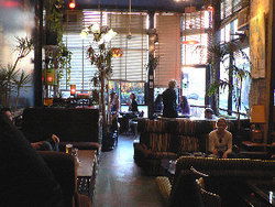 Blackcat - Lennox Head Accommodation 1
