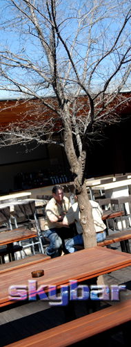 Alma Tavern - Lennox Head Accommodation 2