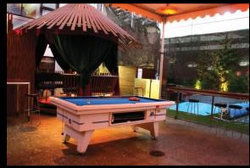Birdee Num Num - Lennox Head Accommodation 2