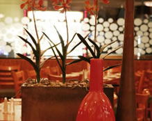 Cherry Hill Tavern - Lennox Head Accommodation 2