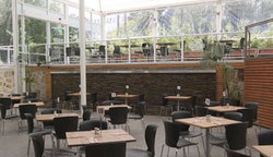 Tea Tree Gully Hotel - Lennox Head Accommodation 3