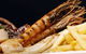 Wynnum Point Hotel - thumb 3