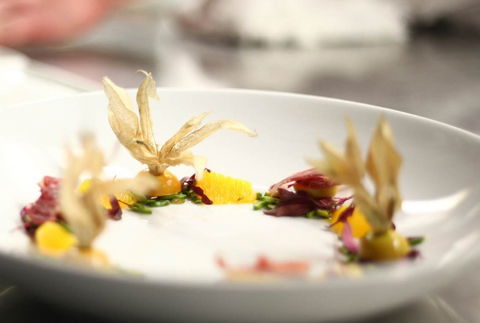 Jellyfish Restaurant - Lennox Head Accommodation 0