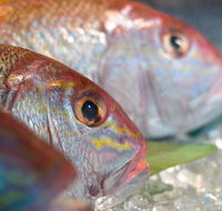 Coro Hotel - Lure Seafood Restaurant - Lennox Head Accommodation