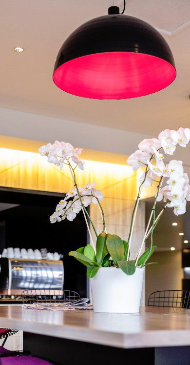 MRepublic Restaurant, Bar And Lounge - Lennox Head Accommodation 4