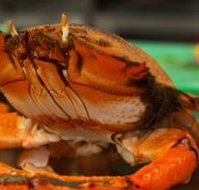 River Cottage Restaurant - Lennox Head Accommodation
