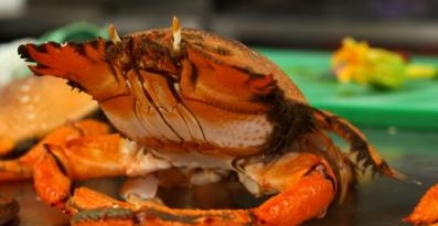 River Cottage Restaurant - Lennox Head Accommodation 0