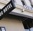 Skinny Dog Hotel - Lennox Head Accommodation