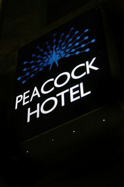 Peacock Inn Hotel - Lennox Head Accommodation 0