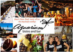 Aquarium - Lennox Head Accommodation 0