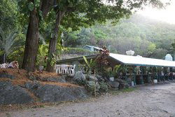 Ellis Beach Bar & Grill - Lennox Head Accommodation 0