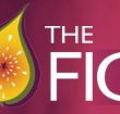 Pickled Fig - Lennox Head Accommodation