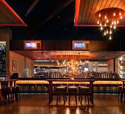 Rock Lily Nightclub - Lennox Head Accommodation 0