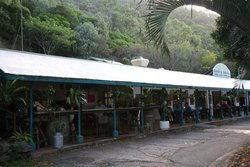 Ellis Beach Bar & Grill - Lennox Head Accommodation 1