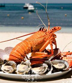 Quokka Arms - Lennox Head Accommodation 1